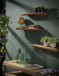 Boomstam wandplank set 3 hout
