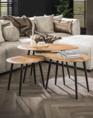 Salontafel acacia hout set