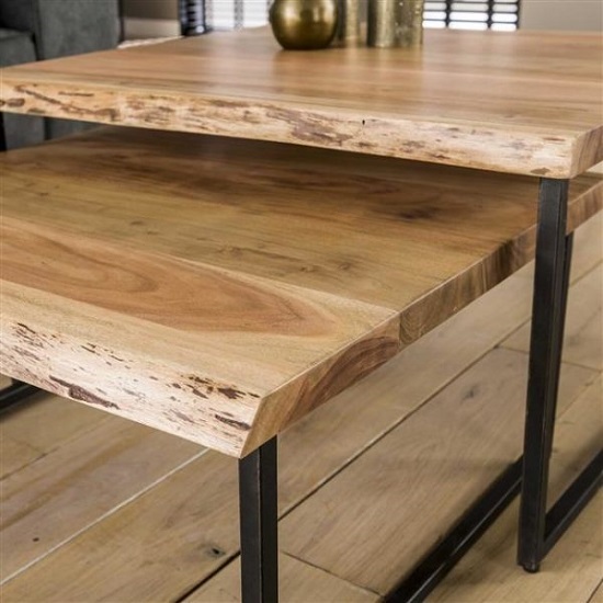 Salontafel set boomstam blad industrieel
