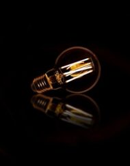 Lichtbron LED filament bol Ø7